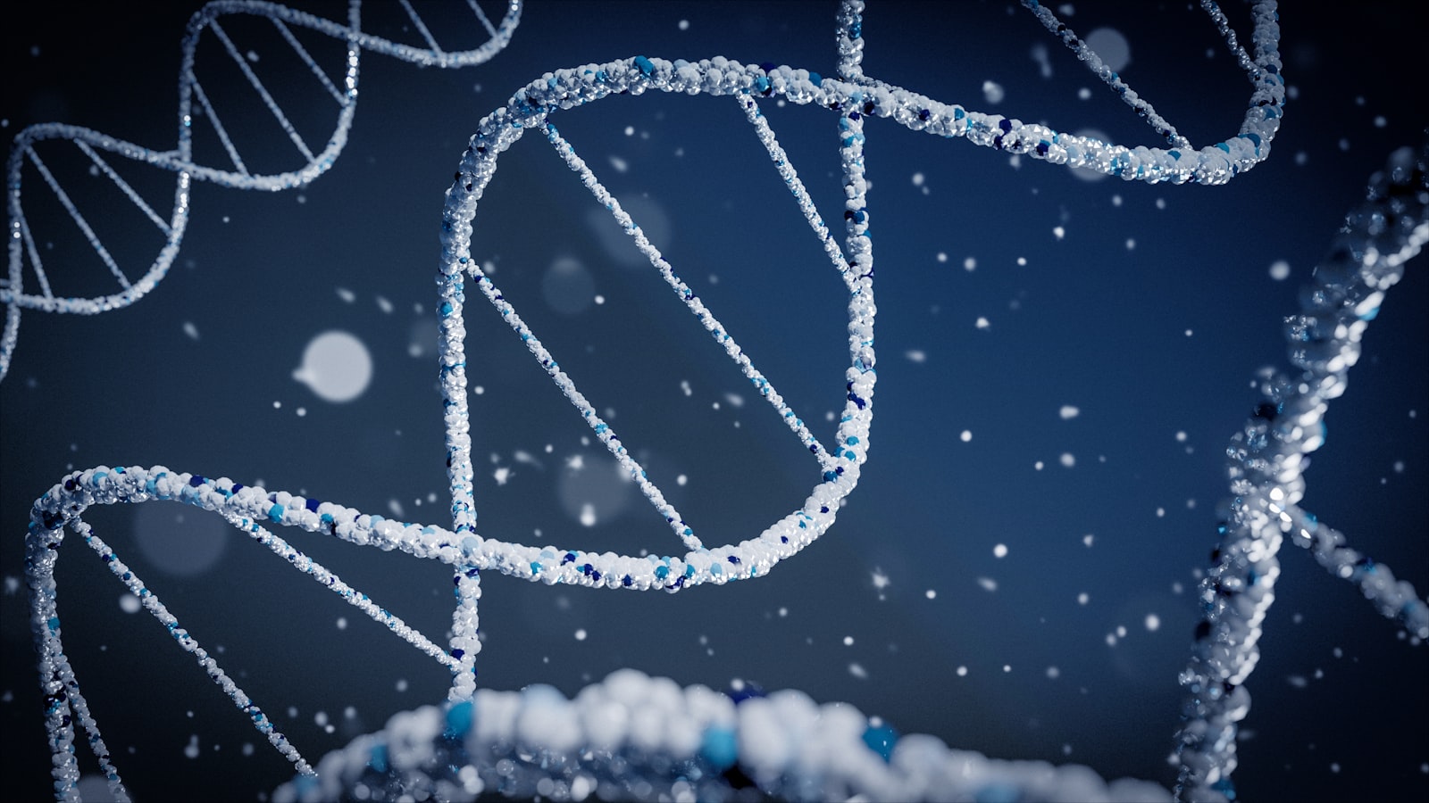 A rendered visualisation of a DNA double helix